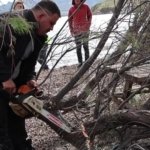 b46264c01a31676be355ed8f217487ee