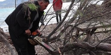 b46264c01a31676be355ed8f217487ee