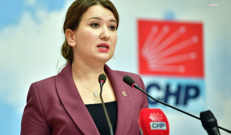 CHP’li Gökçen: Saç ve tırnak testini Ali Kaya istedi, Adli Tıp almadı
