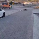 f9800b2eabfe1bda9776b63ab725797b