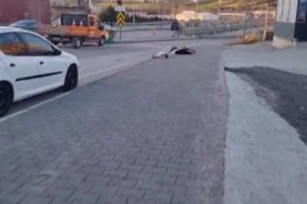 f9800b2eabfe1bda9776b63ab725797b